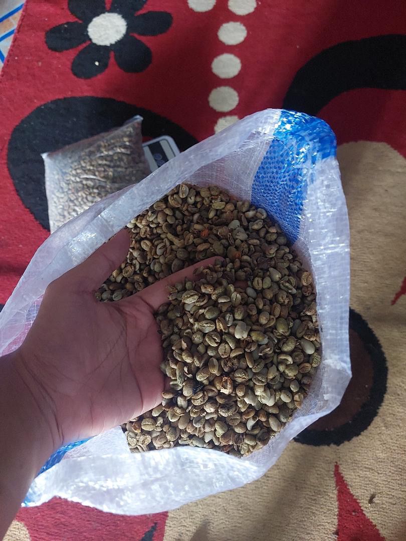 Robusta Java