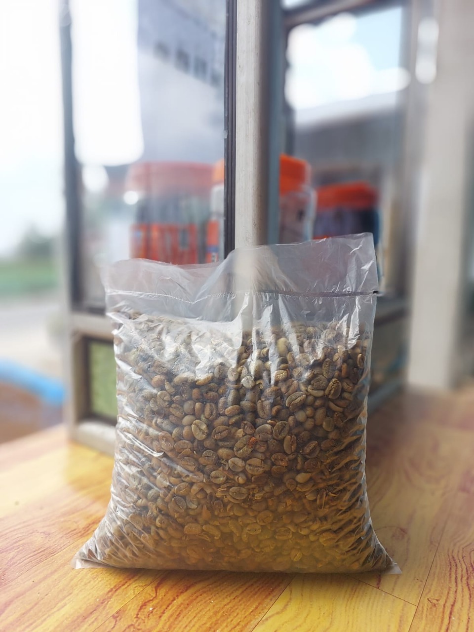 Robusta Solok